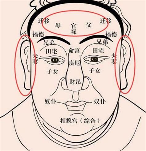 福鼻 面相|面相图解 相学最有福气的7种鼻子